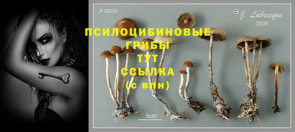 шишки Зеленокумск