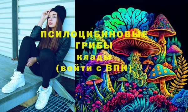 шишки Зеленокумск