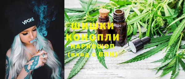 шишки Зеленокумск