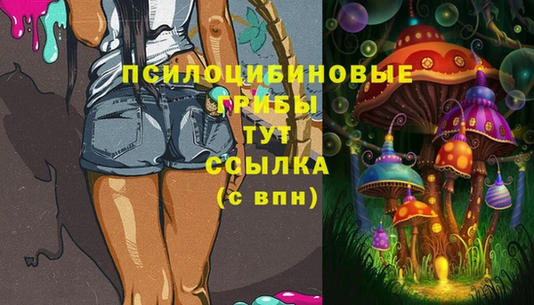 шишки Зеленокумск