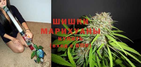 ALPHA PVP Иннополис